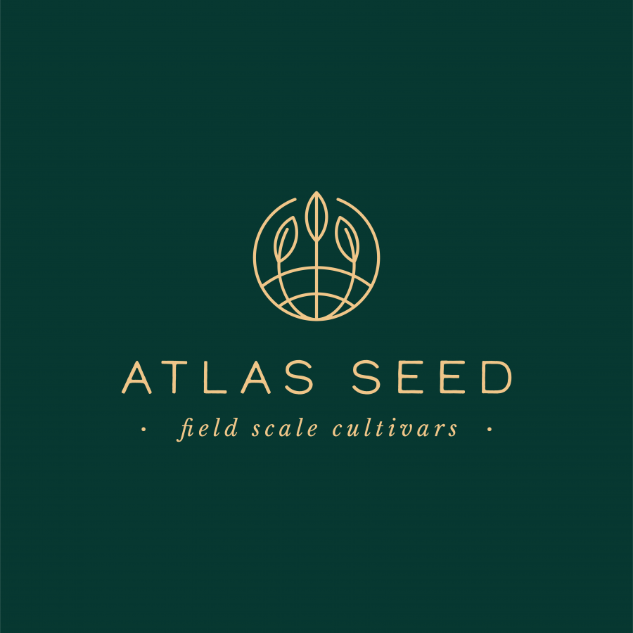 Atlas Seed Feminized Auto-Flowering Seeds & Feminized photoperiod seeds