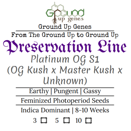 Platinum OG S1 Feminized Photoperiod Seeds Ground up genes preservation pack line