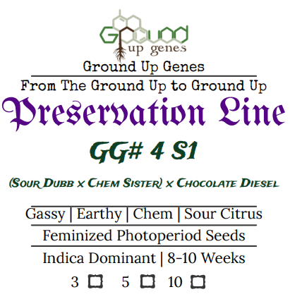 GG#4 S1 Feminized Photoperiod Seeds Ground up genes preservation pack line