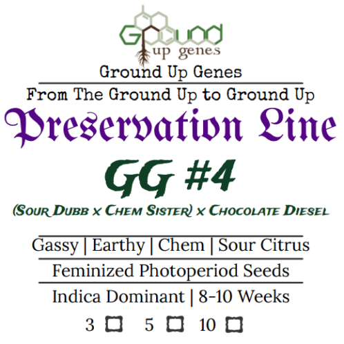GG#4 S1 Feminized Photoperiod Seeds Ground up genes preservation pack line