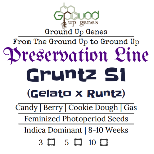 Gruntz s1 Feminized Photoperiod seeds ground up genes preservation packs